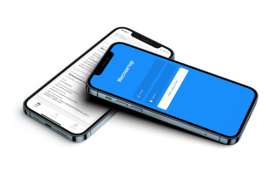 Мобильное приложение &quot;Инспектор&quot;.