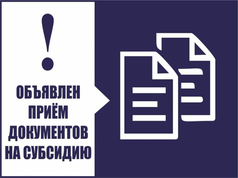 Информация о проведении конкурсного отбора на получение субсидии организациям любых форм собственности или индивидуальным предпринимателям.