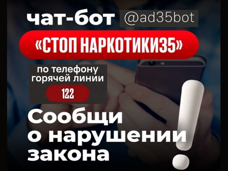 В регионе продолжает свою работу чат-бот «СТОП наркотики 35».
