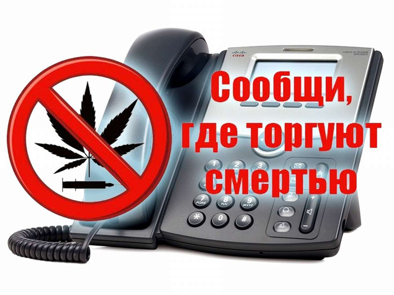 В период с 16 по 27 октября 2023 года в Вологодской области пройдёт  второй этап Общероссийской акции «Сообщи, где торгуют смертью».