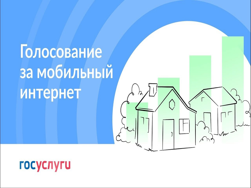 Голосование за подключение к мобильному интернету малых населенных пунктов.