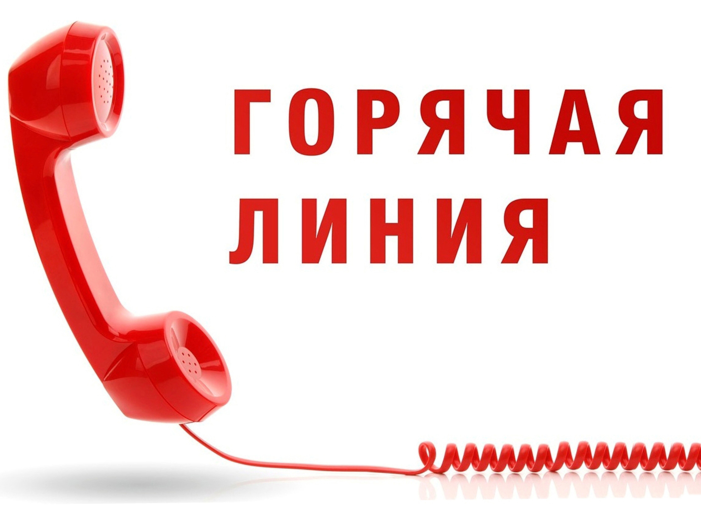 Горячая линия!!.