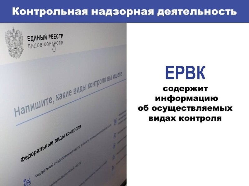 Контрольная надзорная деятельность.